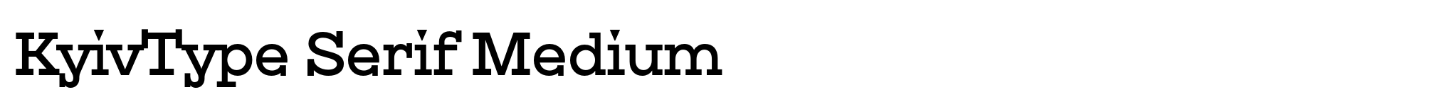 KyivType Serif Medium image